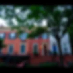 Charming row houses in a picturesque D.C. neighborhood