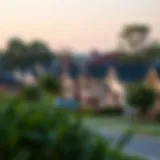 Scenic view of a tranquil neighborhood with affordable homes