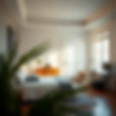 Transforming Spaces: The Impact of Cleaning Before and after comparison of a room post cleaning