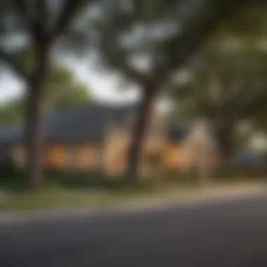 Suburban Charm in San Antonio A serene suburban neighborhood in San Antonio featuring tree-lined streets and inviting homes.
