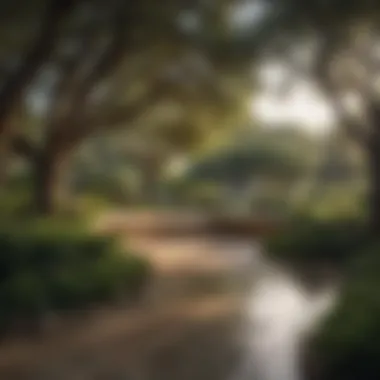 Serene Outdoor Spaces in San Antonio A tranquil park in San Antonio, perfect for relaxation and outdoor activities.