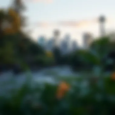 Serene Park in Seattle Serene park in one of Seattle's neighborhoods