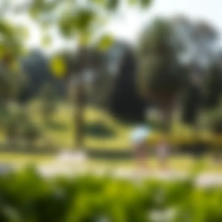 A tranquil park with families enjoying a sunny day outdoors.