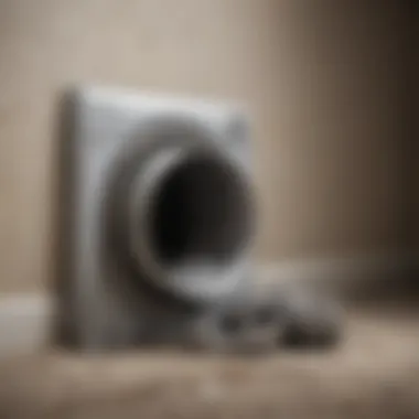 Blocked dryer vent with lint buildup