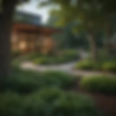 Green Spaces Enhancing Quality of Life Tranquil park space in Brightwood, DC