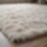 A pristine white shag rug freshly vacuumed, showcasing its fluffy texture