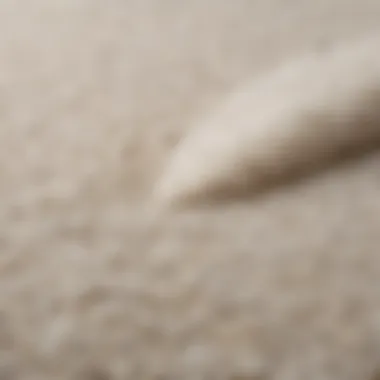 Stain Removal on White Shag Rug A close-up of a white shag rug with a visible stain, demonstrating a cleaning technique