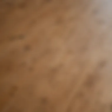 Close-up view of polished oak floorboards reflecting light