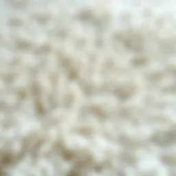 Luxurious shaggy white rug showcasing texture