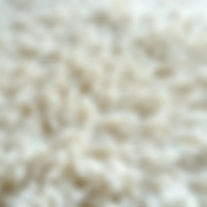 Texture of a Shaggy White Rug Luxurious shaggy white rug showcasing texture