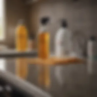 Diverse Cleaning Solutions for Ceramics Variety of cleaning products suitable for ceramic surfaces on a countertop