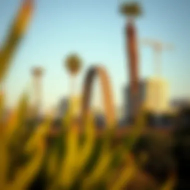 Considering Relocation: An In-Depth Look at Moving to San Diego Summary Considering Relocation: An In-Depth Look at Moving to San Diego Summary