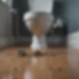 Visual representation of a common toilet clogging issue