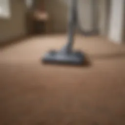 Various carpet cleaning techniques demonstrated