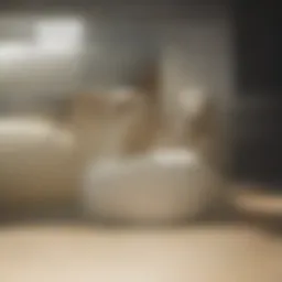 Clean surfaces in a bright living room