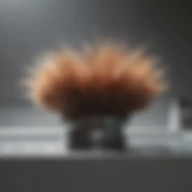 Hair's Impact on Plumbing Systems Impact of hair on plumbing systems