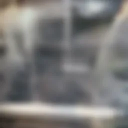 Charming downtown Dallas house exterior