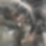Dryer vent cleaning hose attachment in action
