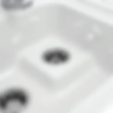 Detail of Dual Sink Drain Assembly Close-up view of dual sink drain assembly