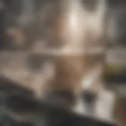 A close-up view of a disinfectant spray bottle on a clean countertop