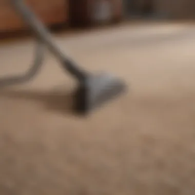 Transformative Carpet Cleaning Results Before and after carpet cleaning results