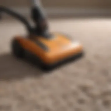 Professional Carpet Cleaning Tools Deep cleaning carpet with professional tools