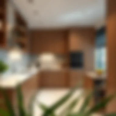 Efficient Kitchen Layout Modern kitchen layout showcasing efficiency units