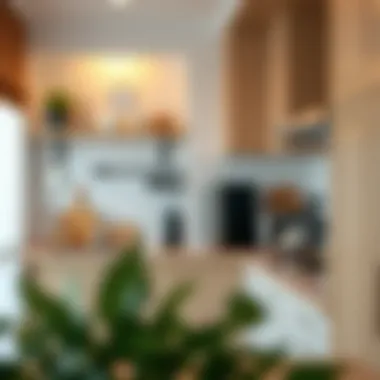 Functional kitchen with essential appliances
