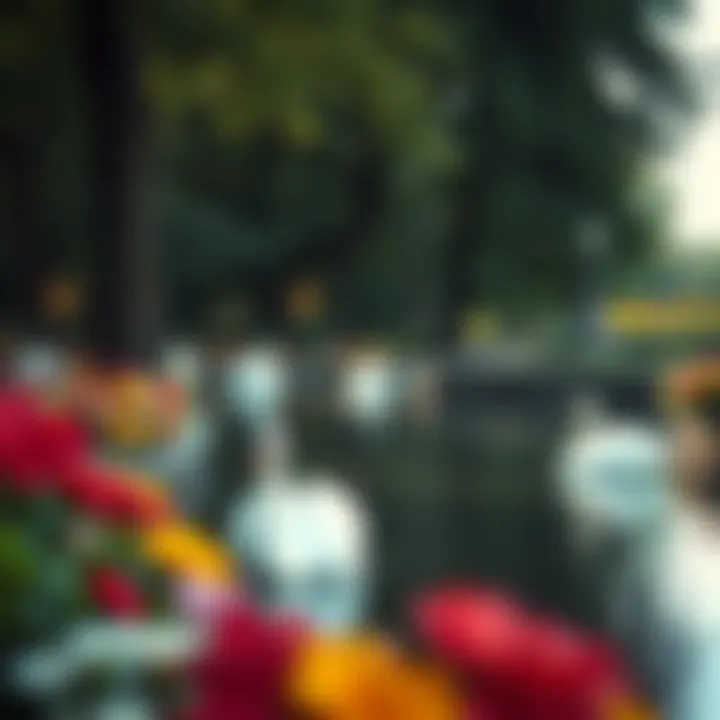 Boston Public Garden Serenity A serene scene from the Boston Public Garden, featuring vibrant flowers and swan boats