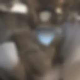 Modern apartment interiors near Drexel University