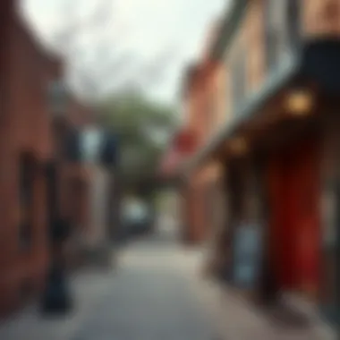 Historic District: Local Treasures and Unique Shops A charming historic district with unique local shops