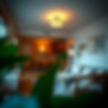 Cozy rental apartment interior in Cathedral Heights