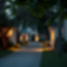 Charming residential street in American University Park