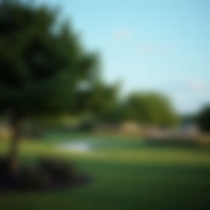 Lush parks and recreational areas in Far North Dallas