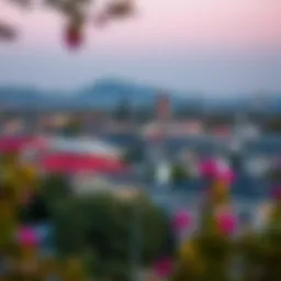 A picturesque view of a San Diego neighborhood showcasing vibrant homes