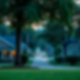 Scenic view of a peaceful suburban neighborhood