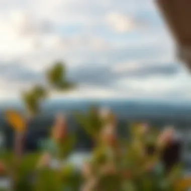Breathtaking Natural Landscape Views from Leschi View Apartments Scenic views from Leschi View Apartments overlooking the natural landscape