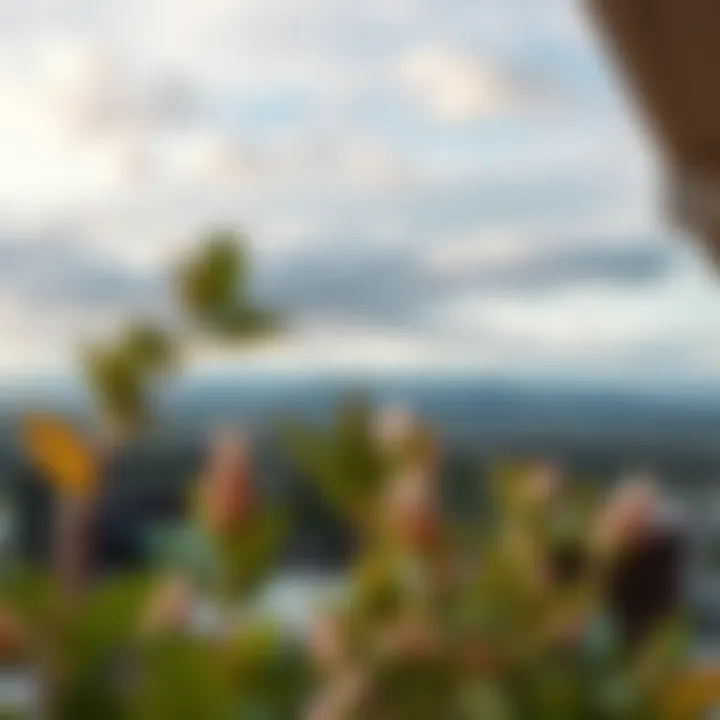 Breathtaking Natural Landscape Views from Leschi View Apartments Scenic views from Leschi View Apartments overlooking the natural landscape