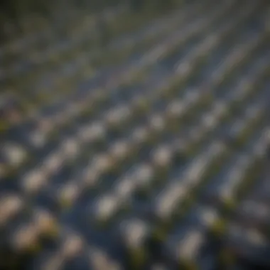 Aerial view of Washington D.C. showcasing neighborhoods