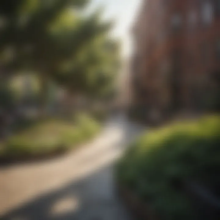 Community events taking place in the vibrant parks of NYU StuyTown