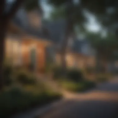 Charming residential street in a vibrant neighborhood