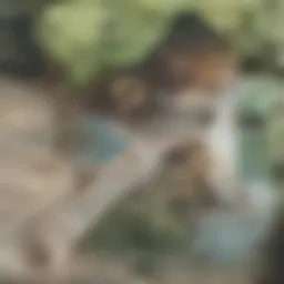 A historical rooming house in Philadelphia reflecting architectural styles.