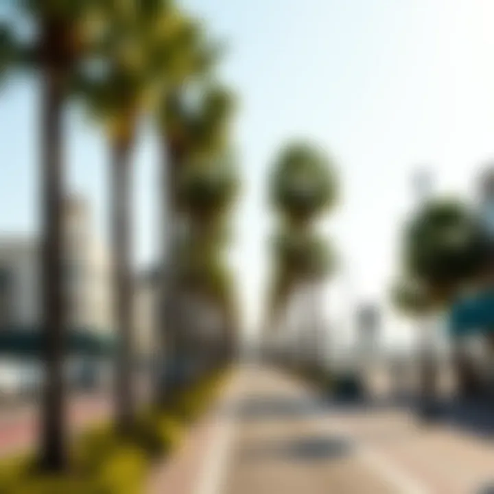 Charming streets of Santa Monica with palm trees and the beach in view