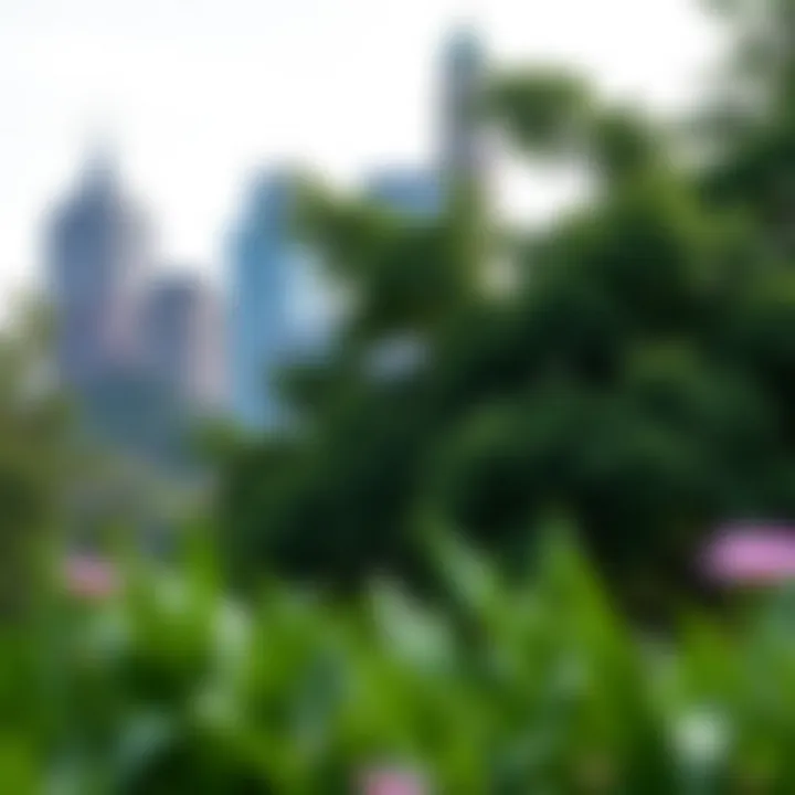 Tranquility in Fairmount Park A serene view of Fairmount Park with lush greenery and city skyline