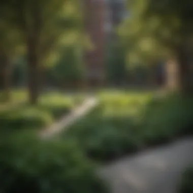 Community park in downtown Chicago featuring lush greenery.