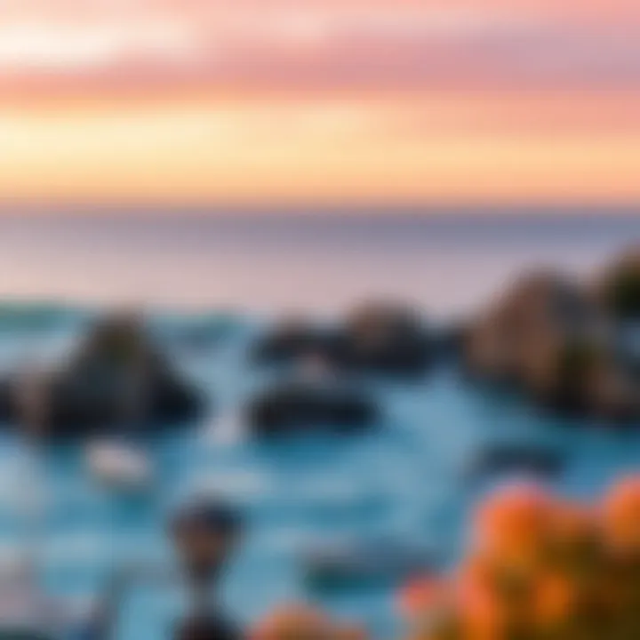 La Jolla Cove: A Coastal Gem Scenic view of La Jolla Cove at sunset