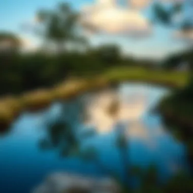 Nature's Canvas: The Scenic Beauty of Dallas Outskirts Breathtaking landscape showcasing Dallas's natural beauty