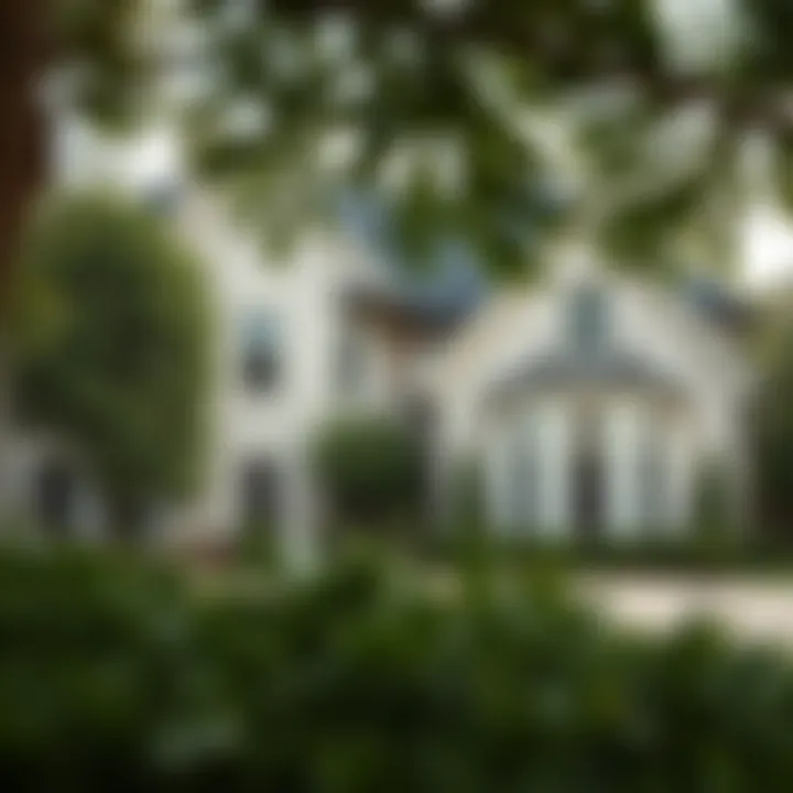 A Glimpse of Suburban Elegance in Dallas Charming suburban home surrounded by greenery