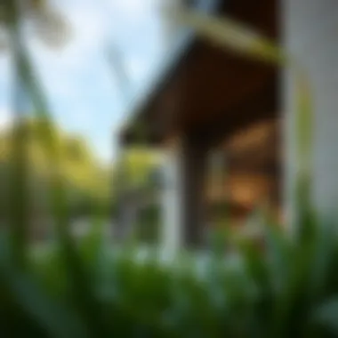 Innovative Architecture: Blending Modernity with Nature Modern architectural design in a tranquil neighborhood