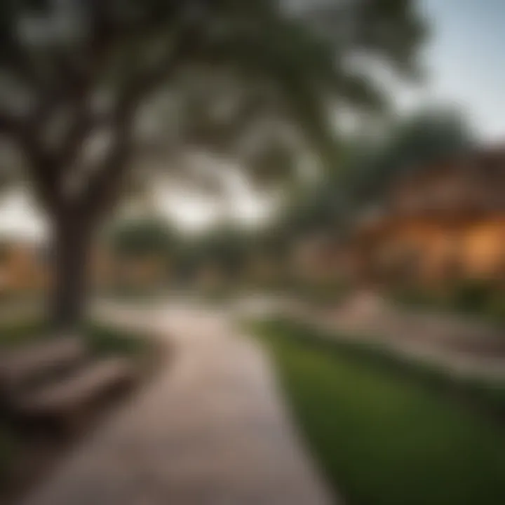 A serene park in a San Antonio neighborhood with families enjoying outdoor activities